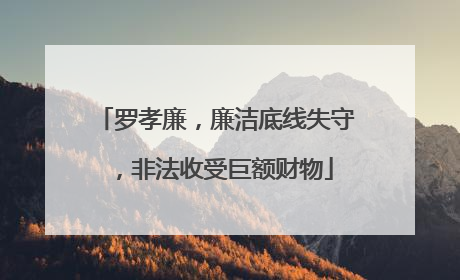罗孝廉，廉洁底线失守，非法收受巨额财物