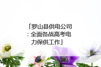 罗山县供电公司：全面备战高考电力保供工作