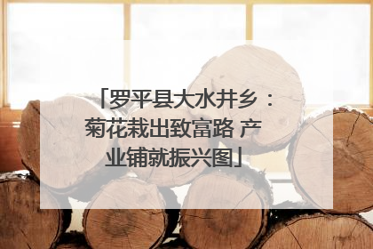 罗平县大水井乡：菊花栽出致富路 产业铺就振兴图