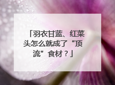 羽衣甘蓝、红菜头怎么就成了“顶流”食材？