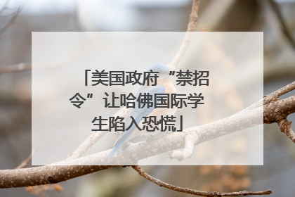 美国政府“禁招令”让哈佛国际学生陷入恐慌