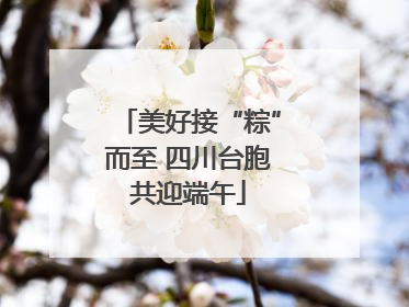 美好接“粽”而至 四川台胞共迎端午