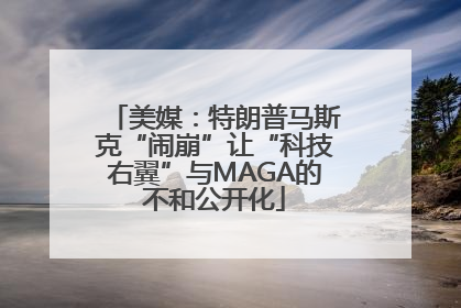 美媒：特朗普马斯克“闹崩”让“科技右翼”与MAGA的不和公开化