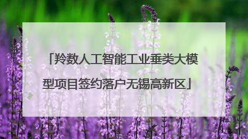 羚数人工智能工业垂类大模型项目签约落户无锡高新区