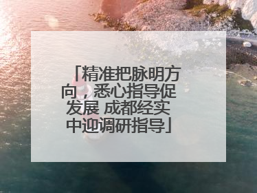精准把脉明方向，悉心指导促发展 成都经实中迎调研指导