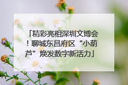 精彩亮相深圳文博会！聊城东昌府区“小葫芦”焕发数字新活力