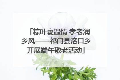 粽叶裹温情 孝老润乡风——祁门县溶口乡开展端午敬老活动