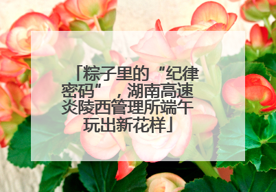 粽子里的“纪律密码”，湖南高速炎陵西管理所端午玩出新花样