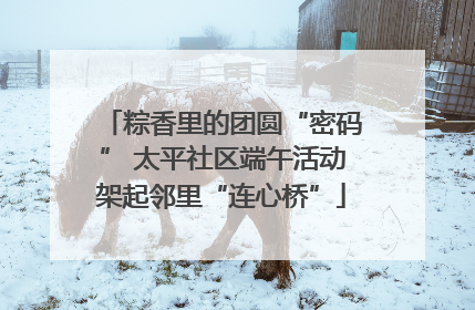 粽香里的团圆“密码” 太平社区端午活动架起邻里“连心桥”