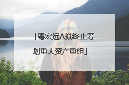 粤宏远A拟终止筹划重大资产重组