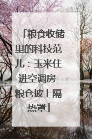 粮食收储里的科技范儿：玉米住进空调房 粮仓披上隔热罩