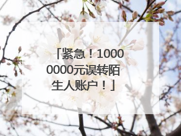 紧急！10000000元误转陌生人账户！