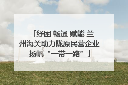 纾困 畅通 赋能 兰州海关助力陇原民营企业扬帆“一带一路”