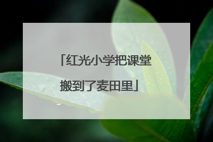 红光小学把课堂搬到了麦田里