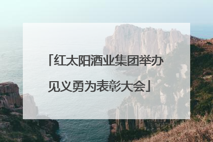 红太阳酒业集团举办见义勇为表彰大会