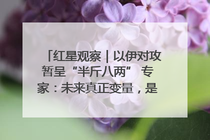 红星观察｜以伊对攻暂呈“半斤八两” 专家：未来真正变量，是美国是否进一步介入