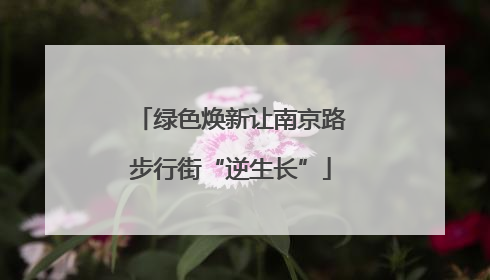 绿色焕新让南京路步行街“逆生长”