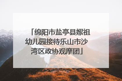 绵阳市盐亭县嫘祖幼儿园接待乐山市沙湾区政协观摩团