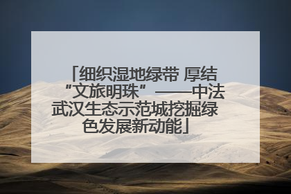 细织湿地绿带 厚结“文旅明珠”——中法武汉生态示范城挖掘绿色发展新动能