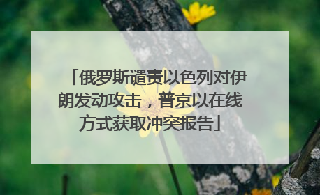 俄罗斯谴责以色列对伊朗发动攻击，普京以在线方式获取冲突报告