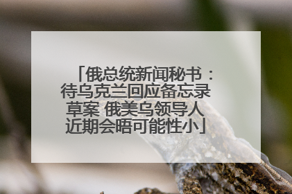俄总统新闻秘书：待乌克兰回应备忘录草案 俄美乌领导人近期会晤可能性小