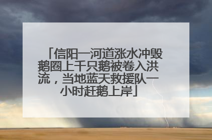 信阳一河道涨水冲毁鹅圈上千只鹅被卷入洪流，当地蓝天救援队一小时赶鹅上岸