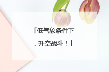 低气象条件下，升空战斗！