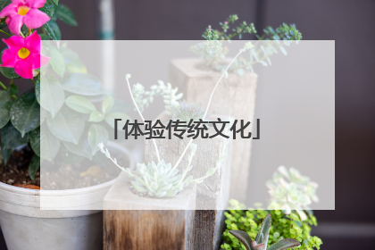 体验传统文化