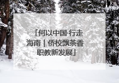 何以中国·行走海南｜侨校飘茶香 职教新发展