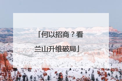 何以招商？看兰山升维破局