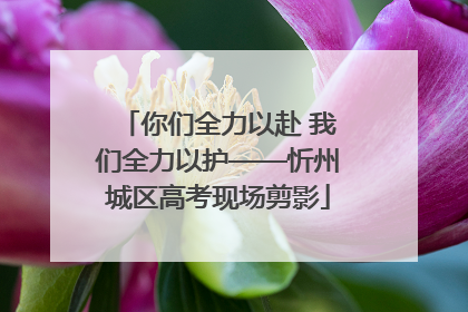 你们全力以赴 我们全力以护——忻州城区高考现场剪影