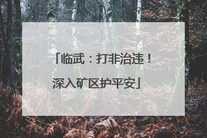 临武：打非治违！深入矿区护平安
