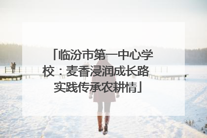 临汾市第一中心学校：麦香浸润成长路 实践传承农耕情