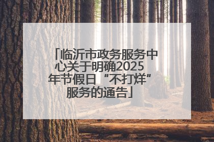 临沂市政务服务中心关于明确2025年节假日“不打烊”服务的通告