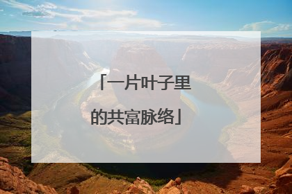 一片叶子里的共富脉络