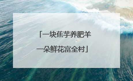 一块蕉芋养肥羊 一朵鲜花富全村