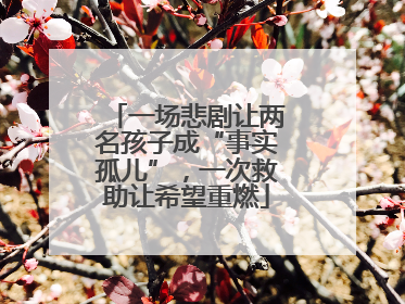 一场悲剧让两名孩子成“事实孤儿”，一次救助让希望重燃