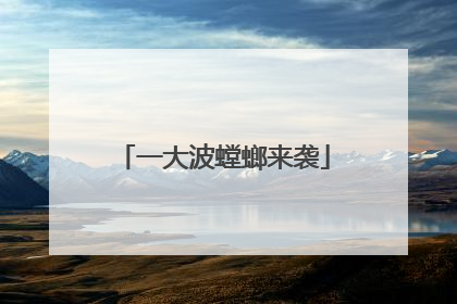 一大波螳螂来袭