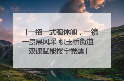 一招一式强体魄，一镜一景展风采 积玉桥街道双课赋能楼宇党建