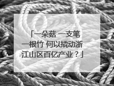 一朵菇 一支笔 一根竹 何以撬动浙江山区百亿产业？