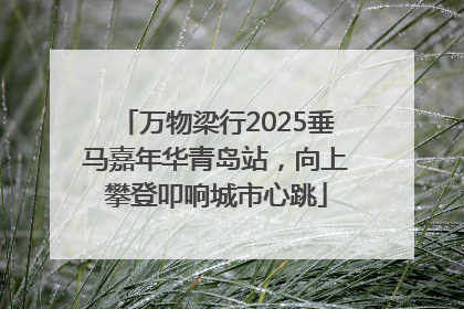 万物梁行2025垂马嘉年华青岛站，向上攀登叩响城市心跳