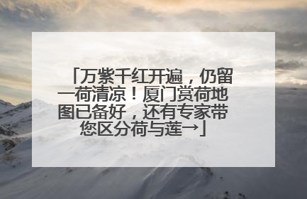 万紫千红开遍，仍留一荷清凉！厦门赏荷地图已备好，还有专家带您区分荷与莲→
