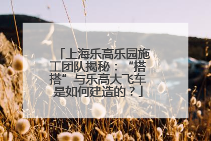 上海乐高乐园施工团队揭秘：“搭搭”与乐高大飞车是如何建造的？