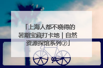 上海人都不晓得的 暑期宝藏打卡地｜自然资源探馆系列②
