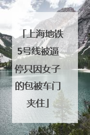 上海地铁5号线被逼停只因女子的包被车门夹住