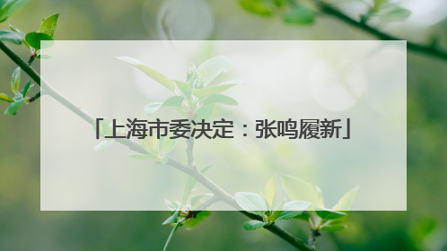 上海市委决定：张鸣履新