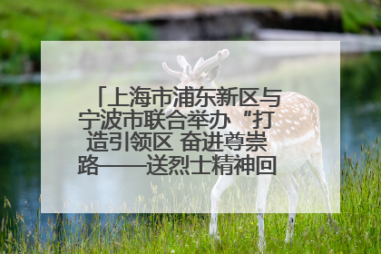 上海市浦东新区与宁波市联合举办“打造引领区 奋进尊崇路——送烈士精神回家乡”主题活动