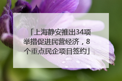 上海静安推出34项举措促进民营经济，8个重点民企项目签约