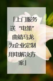 上门服务送“电策” 曲靖马龙为企业定制用电解决方案
