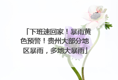 下班速回家！暴雨黄色预警！贵州大部分地区暴雨，多地大暴雨